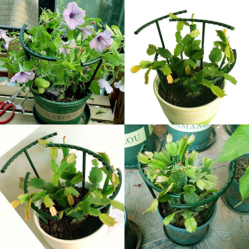 BABIVA 6Pcs SET 25 * 22cm Garden Plant Support Cages