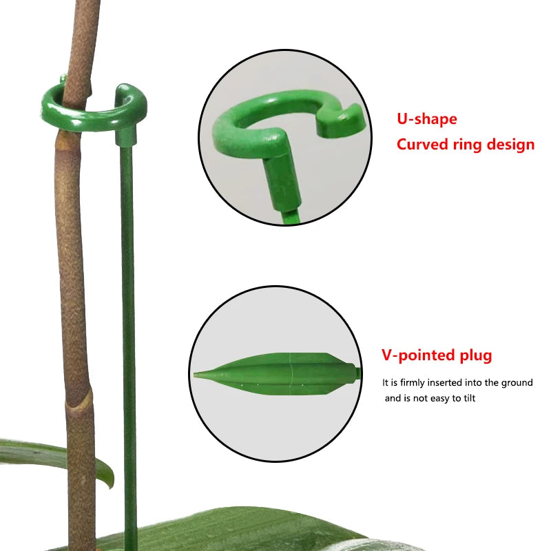 Babiva  Plant Support Stake